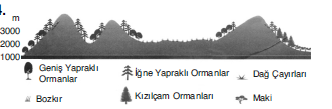 LYS Türkiye’deki Başlıca Bitki Toplulukları Test 1