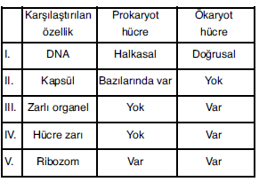 ygs biyoloji sorulari ygs hucre sorulari test 6 3