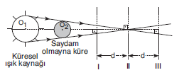 LYS Gölge Soruları Test 1 