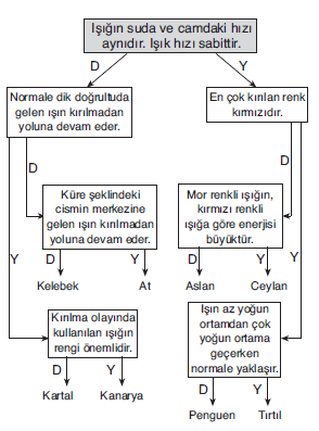 LYS Optik Kırılma Soruları Test 3
