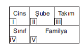 YGS Canlılar Alemi Test 1 