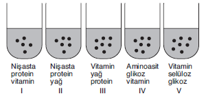 YGS Canlılar Alemi Test 1 