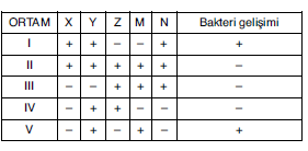 YGS Canlılar Alemi Test 2