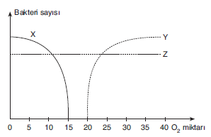 YGS Canlılar Alemi Test 2