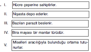 YGS Canlılar Alemi Test 3