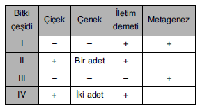 YGS Canlılar Alemi Test4 