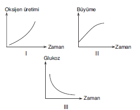 YGS Canlıların Ortak Özellikleri Soruları Test 1
