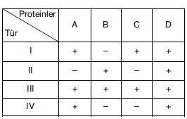 YGS Canlıların Sınıflandırılması Soruları Test 1 