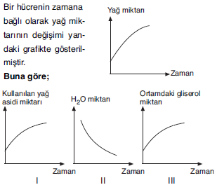 YGS Canlıların Temel Bileşenleri Soruları Test 3 