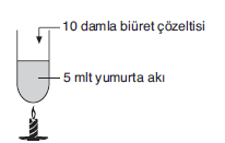 YGS Canlıların Temel Bileşenleri Soruları Test 4