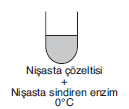 YGS Canlıların Temel Bileşenleri Soruları test 7