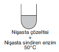 YGS Canlıların Temel Bileşenleri Soruları test 7