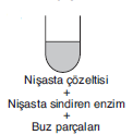 YGS Canlıların Temel Bileşenleri Soruları test 7
