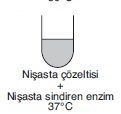 YGS Canlıların Temel Bileşenleri Soruları test 7
