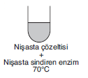 YGS Canlıların Temel Bileşenleri Soruları test 7