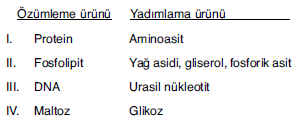 YGS Canlıların Temel Bileşenleri Soruları test 7
