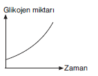 YGS Canlıların Temel Bileşenleri Soruları test 7
