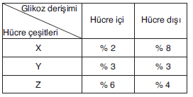 YGS Hücre Soruları Test 2