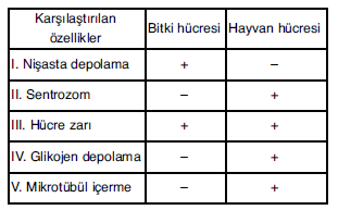 YGS Hücre Soruları Test 6