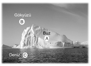 YGS Kimyasal Bağ Kavramının Gelişimi Test 2